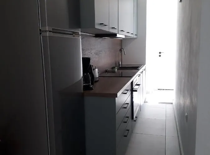 κύκνος Apartament *