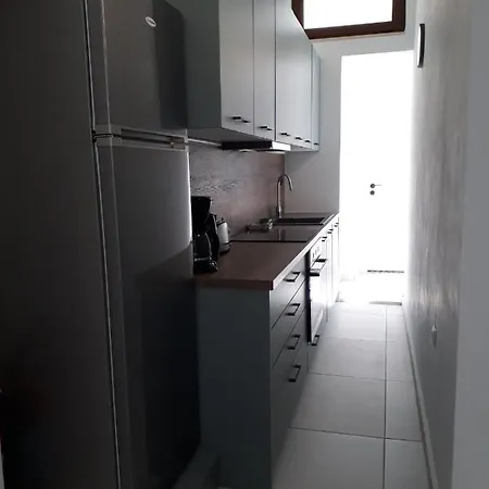 κύκνος Apartament *